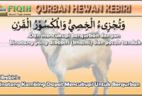 Dikebiri Binatang Kambing Dapat Mencukupi Untuk Berqurban.jpg