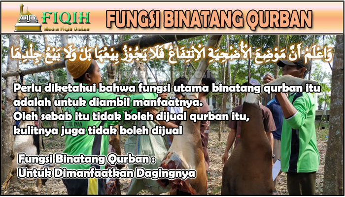 Fungsi Binatang Qurban Untuk Dimanfaatkan Dagingnya.jpg