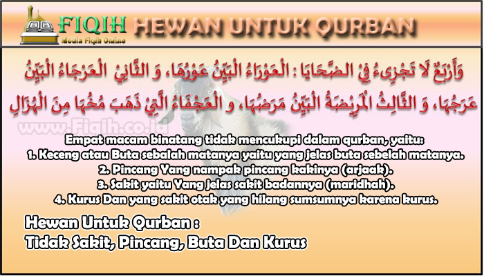 Hewan Untuk Qurban Tidak Sakit, Pincang, Buta Dan Kurus.jpg