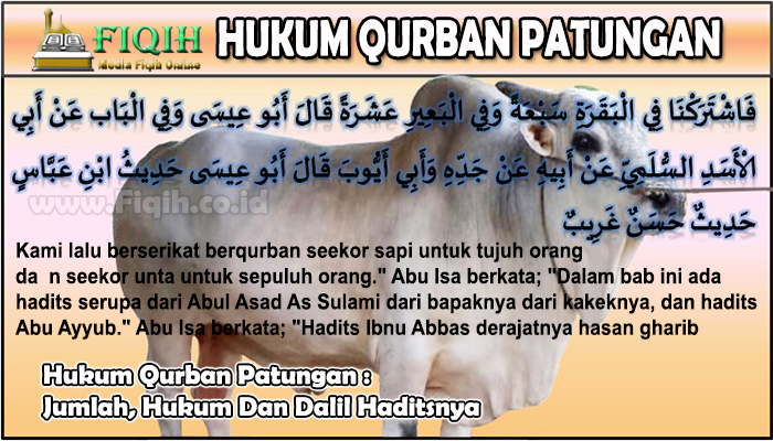 Hukum Qurban Patungan Jumlah, Hukum Dan Dalil Haditsnya.jpg