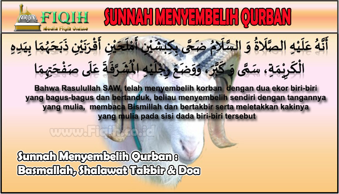 Sunnah Menyembelih Qurban Basmallah, Shalawat Takbir & Doa.jpg