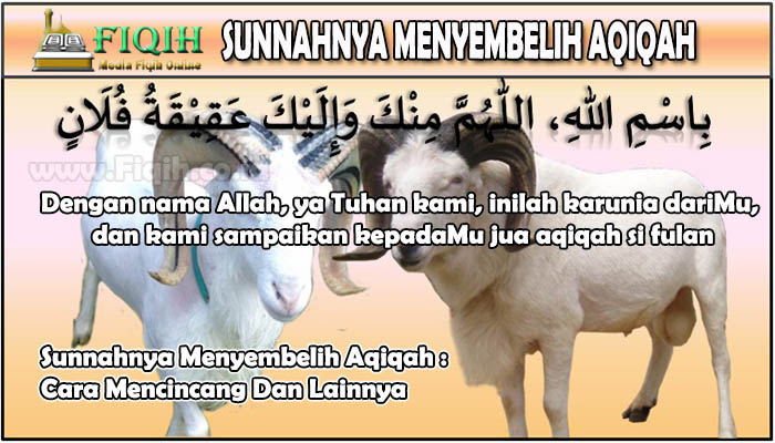 Sunnahnya Menyembelih Aqiqah Cara Mencincang Dan Lainnya.jpg