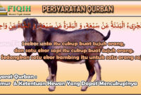 Syarat Qurban Umur & Ketentuan Hewan Yang Dapat Mencukupinya