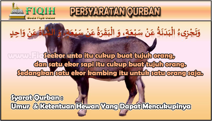 Syarat Qurban Umur & Ketentuan Hewan Yang Dapat Mencukupinya