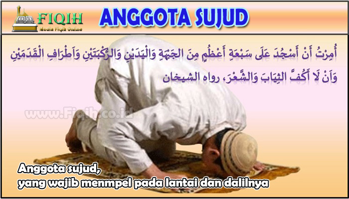 Anggota sujud