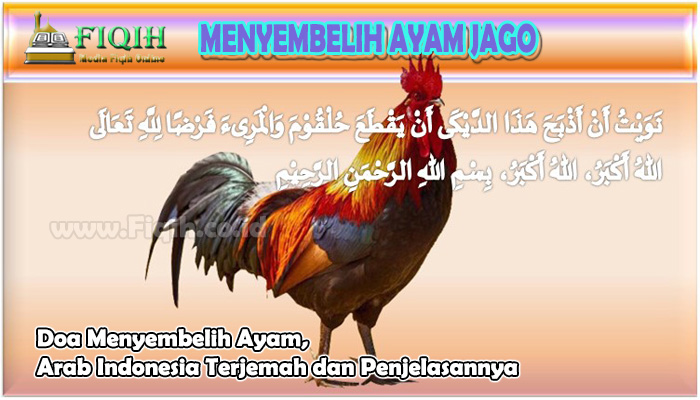 Doa Menyembelih Ayam