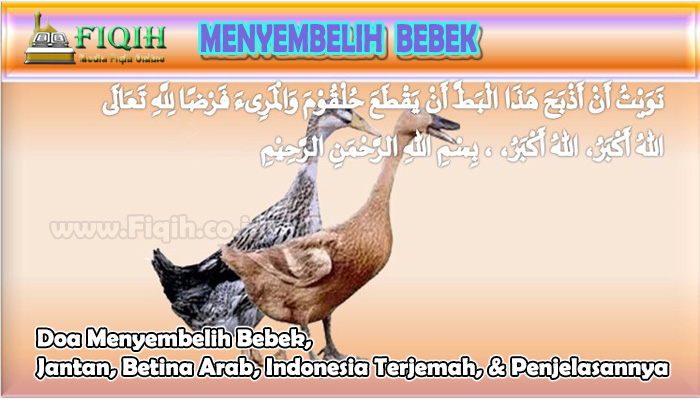 Doa Menyembelih Bebek