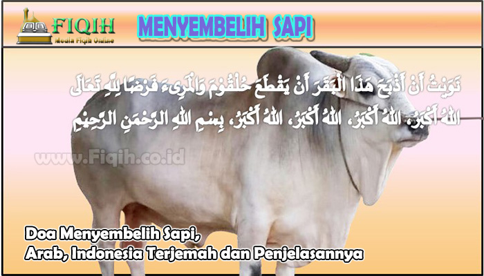 Doa Menyembelih Sapi