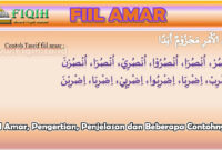 Fiil Amar