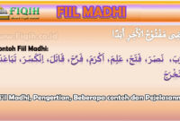 Fiil Madhi