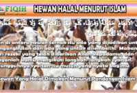 Hewan Yang Halal Dimakan Menurut Pandangan Islam