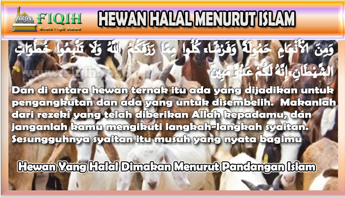 Hewan Yang Halal Dimakan Menurut Pandangan Islam