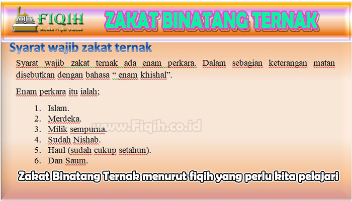 Zakat Binatang Ternak