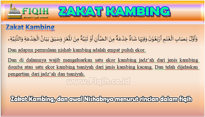 Zakat Kambing