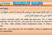 Zakat Sapi