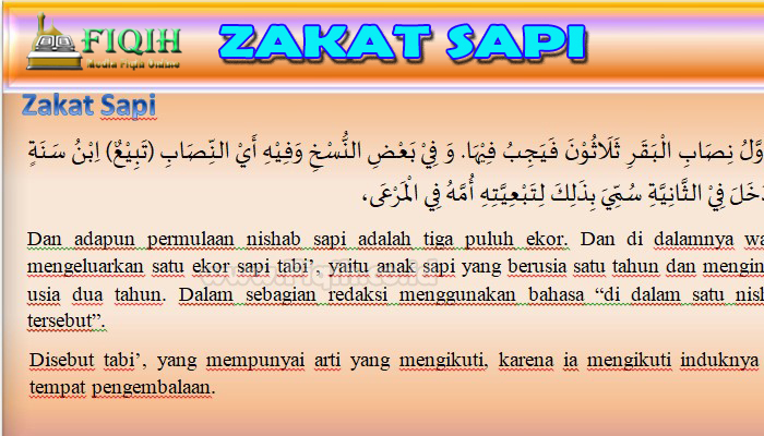 Zakat Sapi