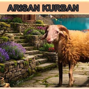 Hukum Arisan Kurban dalam Islam