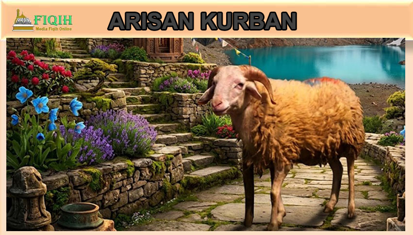 Hukum Arisan Kurban dalam Islam